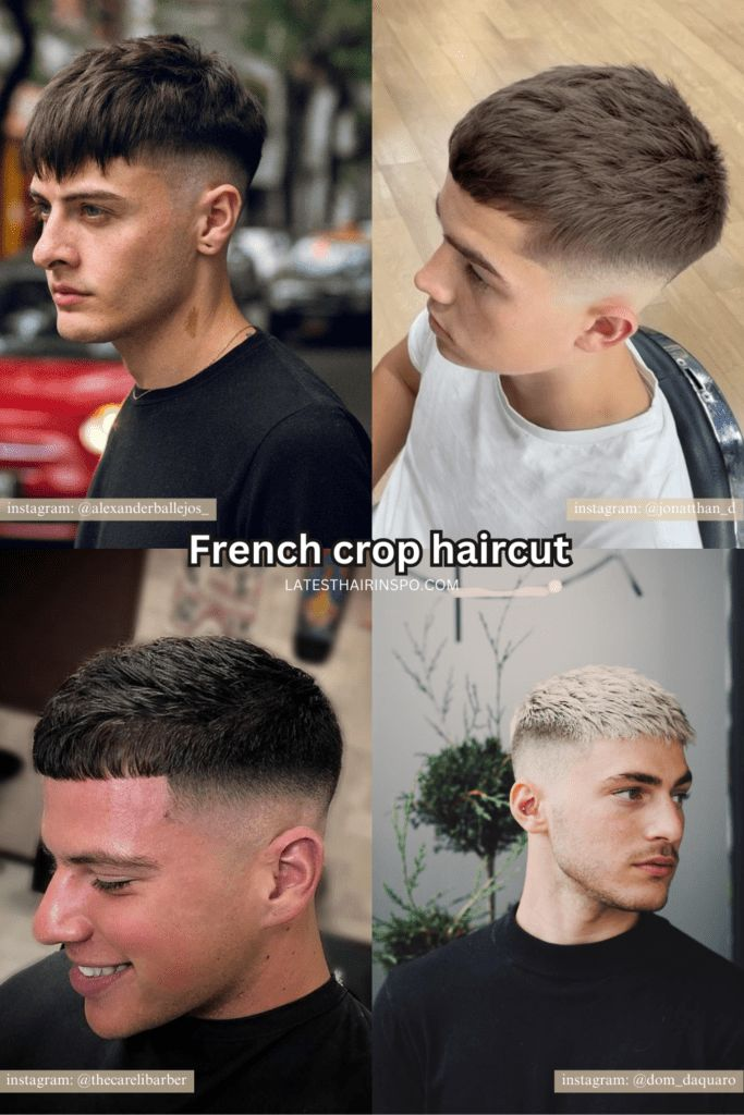French Crop